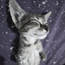 🧊 cat posting (cold) Discord Server