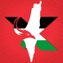 Team X Discord Server