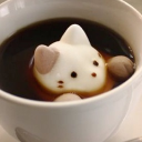 ꒰・ Kitty Kafe ๑ Discord Server