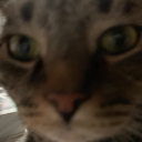 Spiral's Dev Hub Discord Server