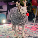 MisterMainer Discord Server