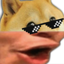 CANILE DI POGGO! [UFFICIALE] Discord Server