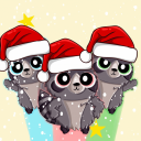 Raccoons™ | • Poland 🎅🏻 Discord Server
