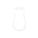 𝗖𝗢𝗠𝗨𝗡𝗜𝗗𝗔𝗗 𝗣𝗔𝗖𝗛𝗔 🤍 Discord Server