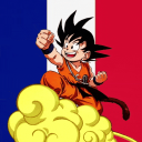 DragonBall FR Discord Server