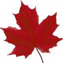 PlaceCanada Discord Server