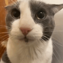 daddy's little kitten Discord Server