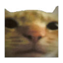 Cat Stand Discord Server