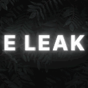E LEAK REPLACE ! Discord Server