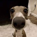 Shremy's MF Block Discord Server