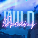 WILD DRΞΛMS﹒🌙™  |  Chill・Fun・Pfps ・Banners・E-girls・Social Discord Server