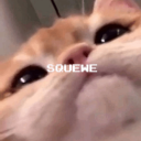 Squewe's Basement Discord Server